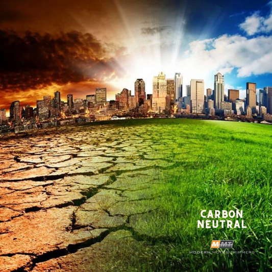 We Took Action to Combat Climate Change
